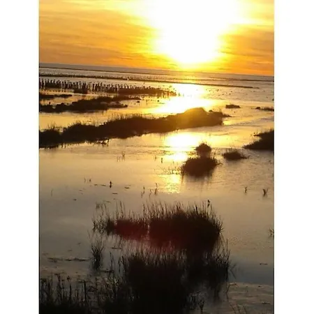 On The North Sea 4 度假居