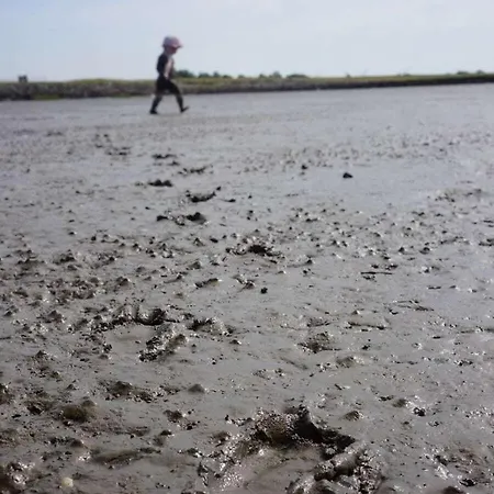 On The North Sea 4 度假居 *